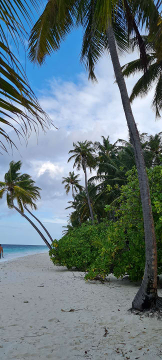Strand Filitheyo Island Resort