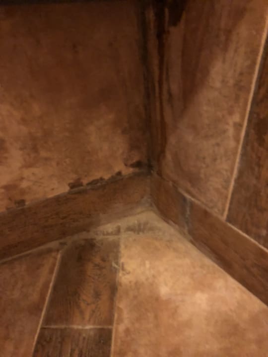 Zimmer Pickalbatros Citadel Resort