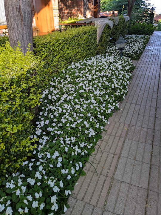 Gartenanlage Can Garden Beach