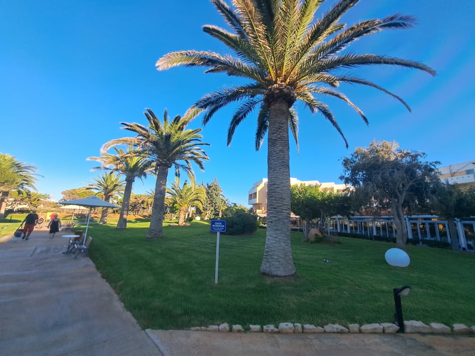 Gartenanlage Anissa Beach & Village