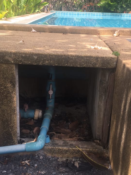 Gartenanlage Hansar Samui Resort & Spa