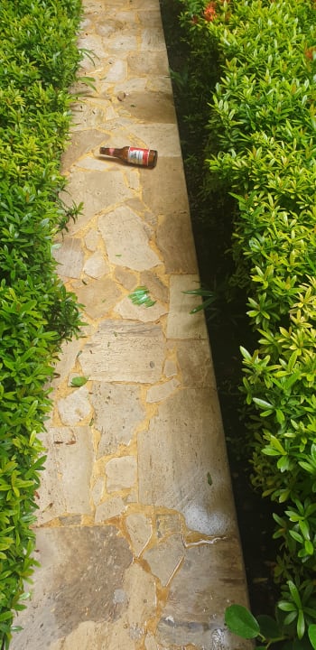 Gartenanlage Grand Palladium Select Bávaro Resort & Spa