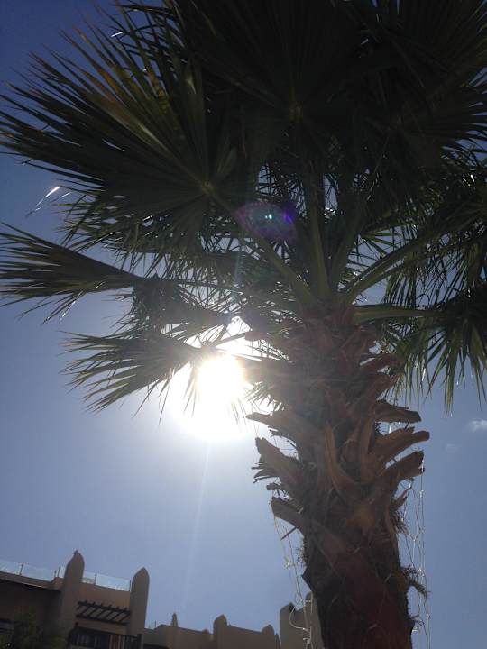 Urlaub.. Steigenberger Aqua Magic