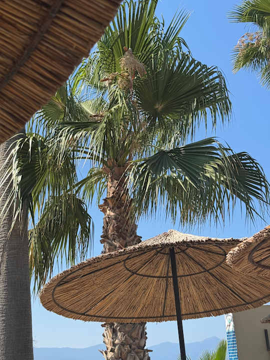 Strand Ephesia Holiday Beach Club