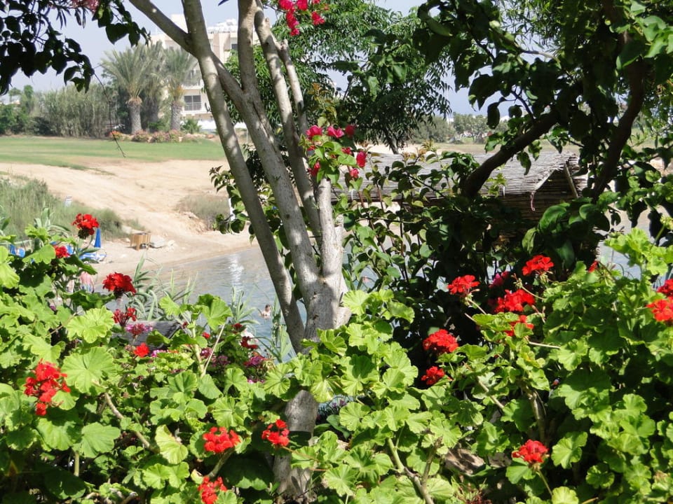Crystal Springs Beach Hotel Crystal Springs Beach Hotel