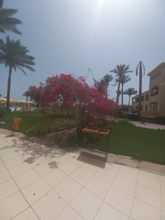 Gartenanlage Cleopatra Luxury Resort Makadi Bay