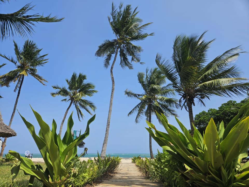 Strand Hotel Jacaranda Indian Ocean Beach Resort