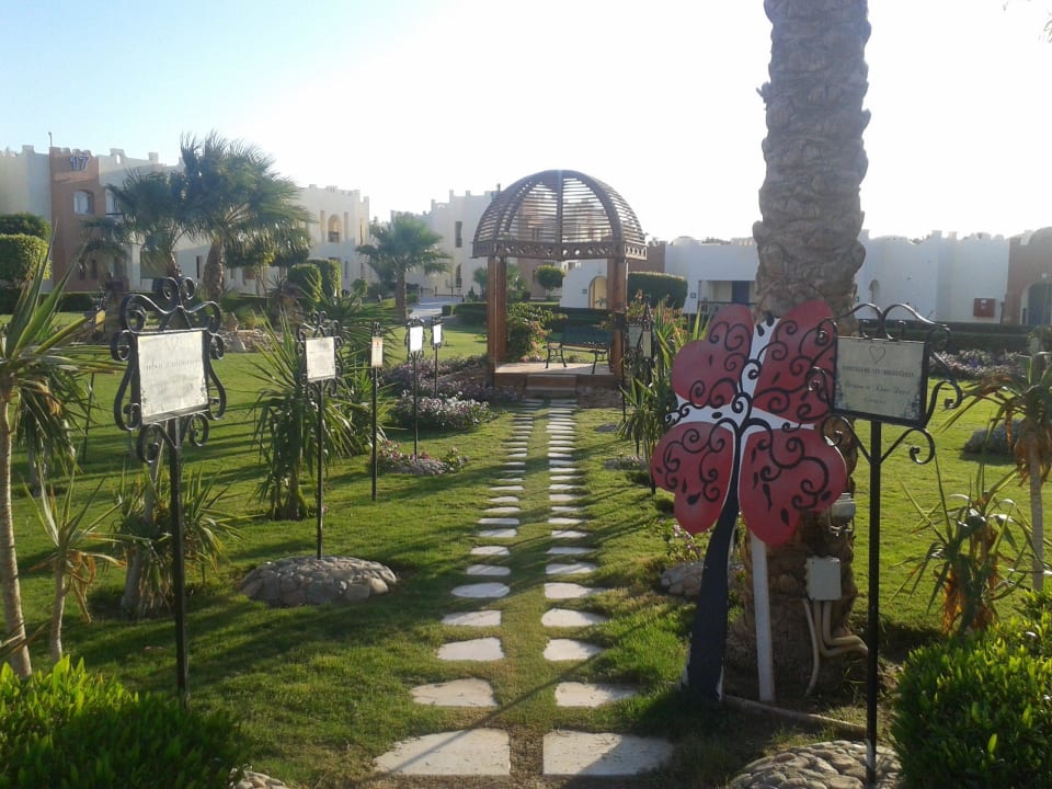 Hochzeitspromenade SUNRISE Royal Makadi Resort