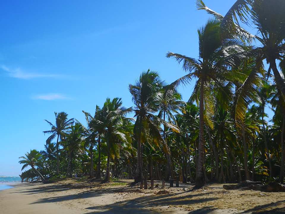 Strand Grand Sirenis Punta Cana Resort & Aquagames