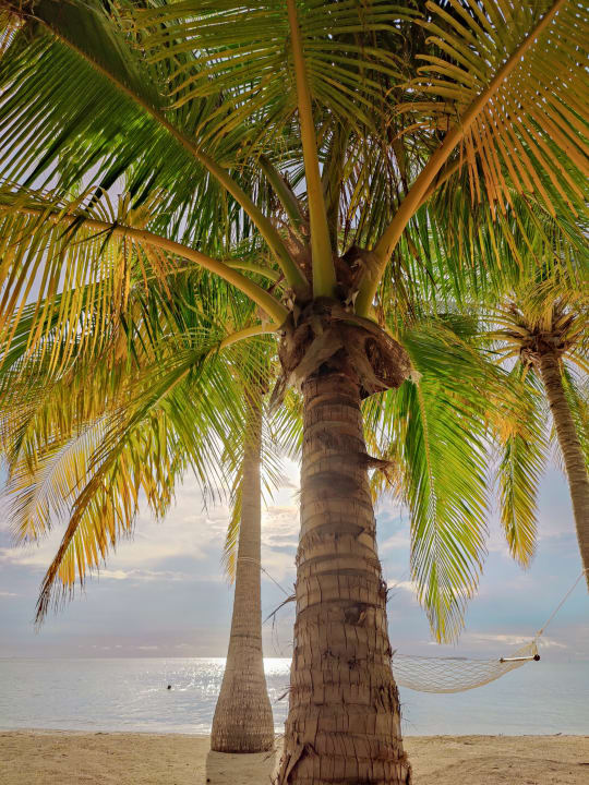 Strand Meeru Maldives Resort Island