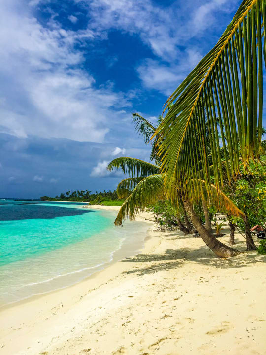 Kuredu Island Resort & Spa Kuredu Island Resort & Spa