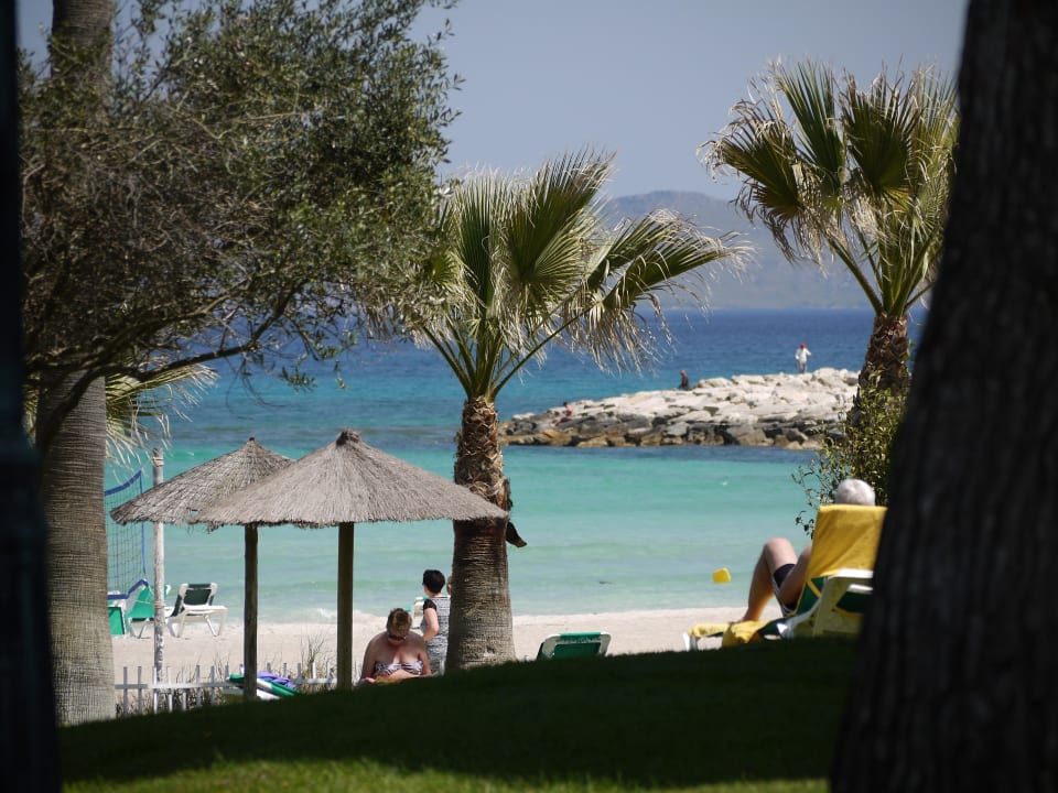 Blick auf Palmengarten und Meer Playa Esperanza Resort