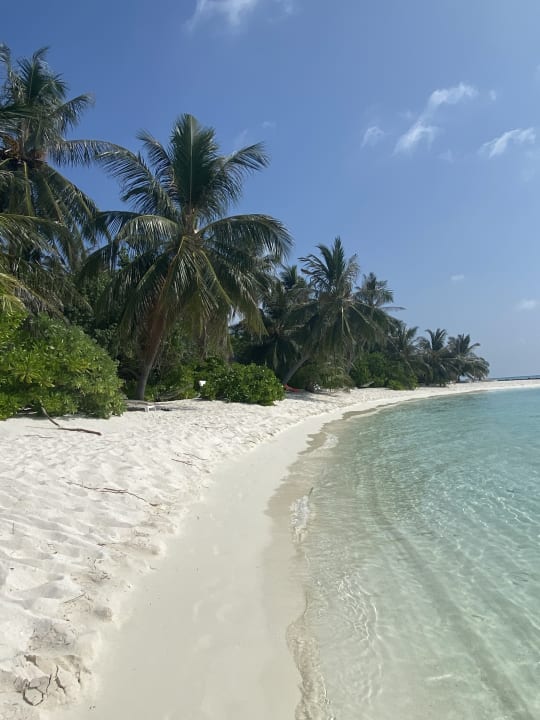 Strand Summer Island Maldives