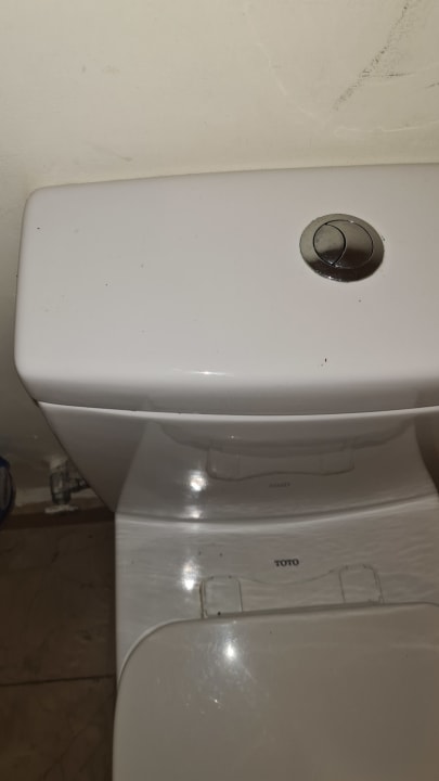 Zimmer Impressive Premium Punta Cana