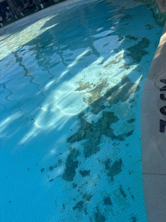 Pool Makadi Spa - Adults only