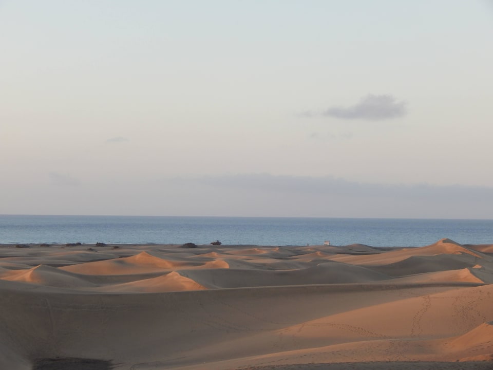 Die berühmten Dünen von Maspalomas Sahara Beach Club