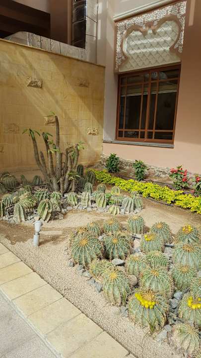 Zugang zur Restaurantterrasse Pickalbatros Palace Resort