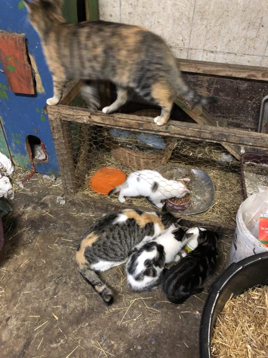 Sonstiges Gästehaus Zacherlhof