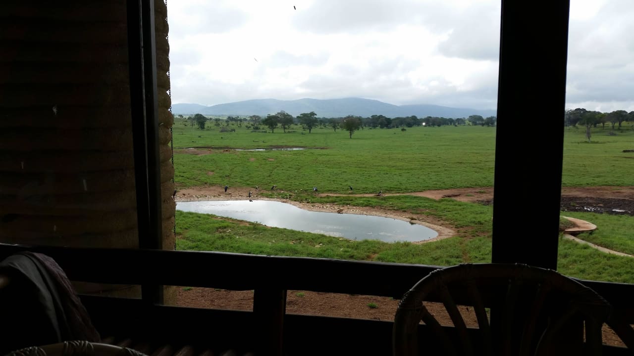 Sarova Salt Lick Game Lodge Salt Lick Safari Lodge