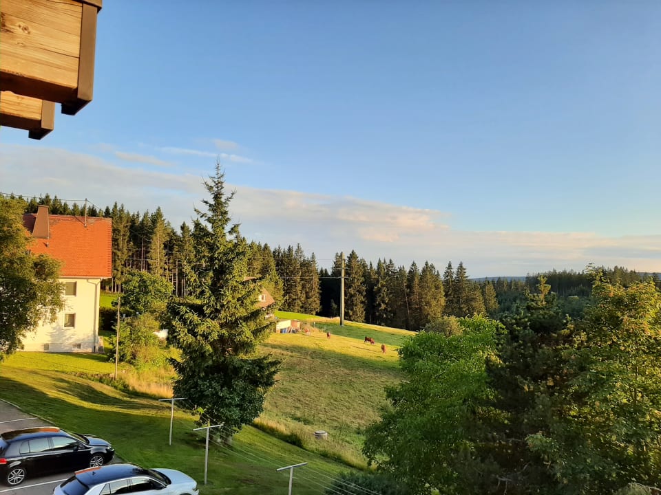 Ausblick Pension Feldbergblick