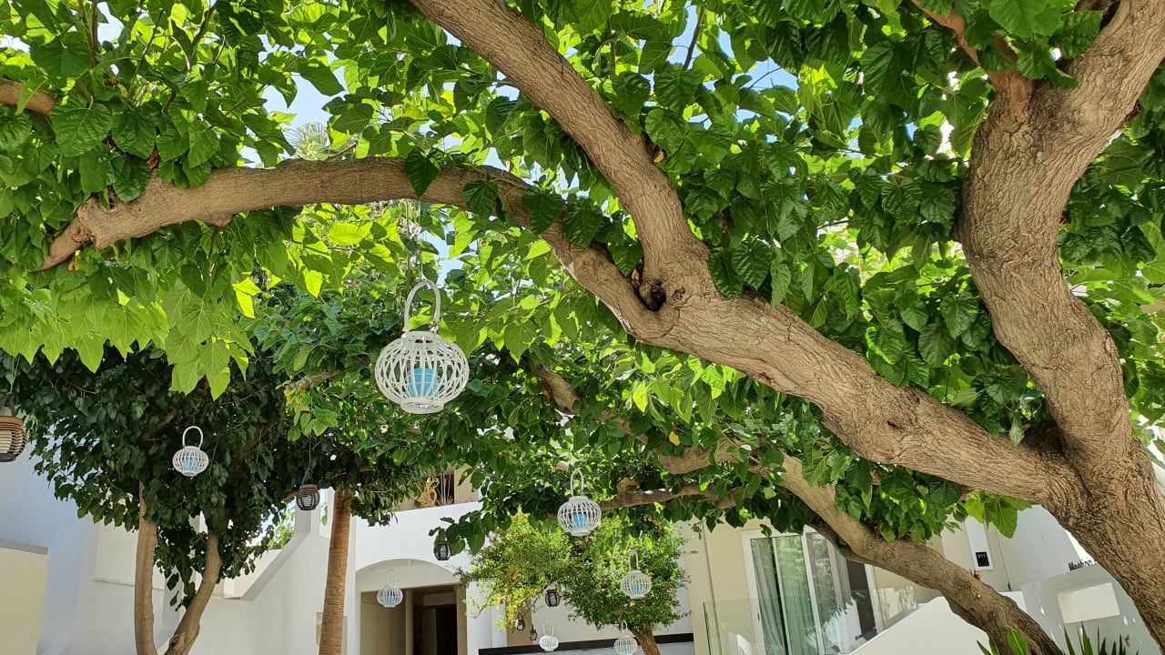 Sonstiges Dimitrios Village Beach Resort