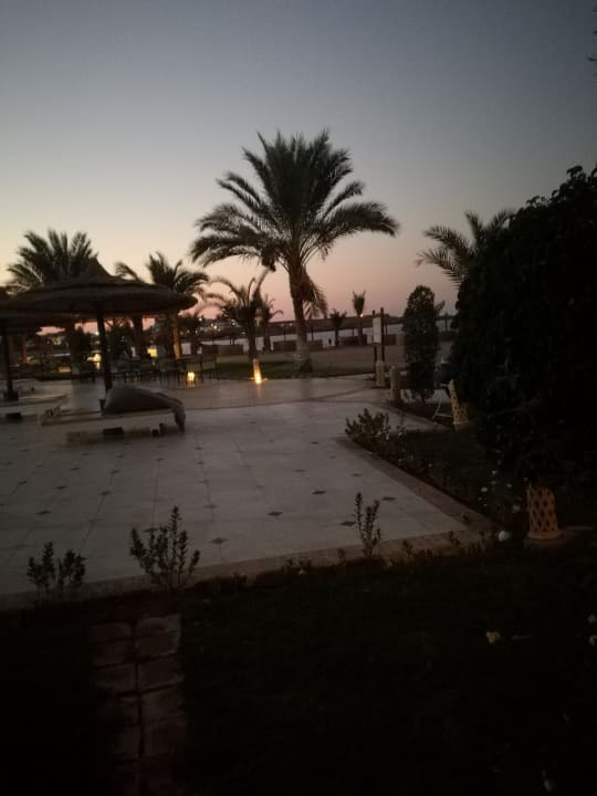 Ausblick Coral Sun Beach