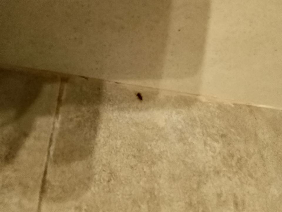 Sonstiges Hotel Neptunia Skanes