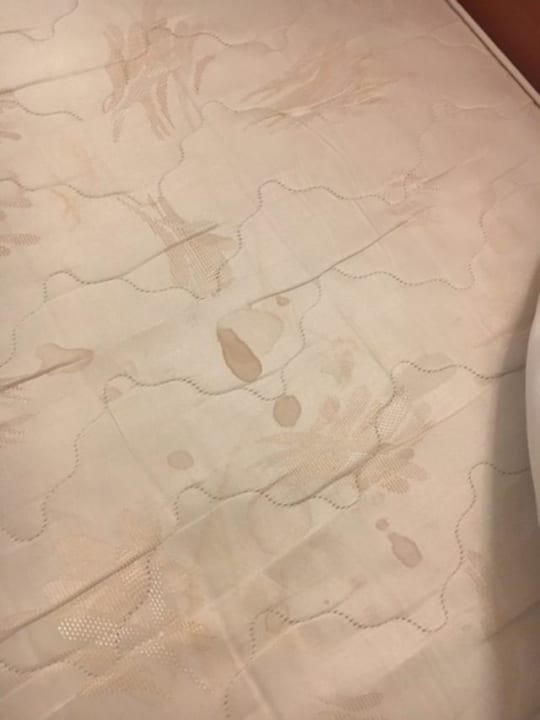 Zimmer Rheingoldhotel