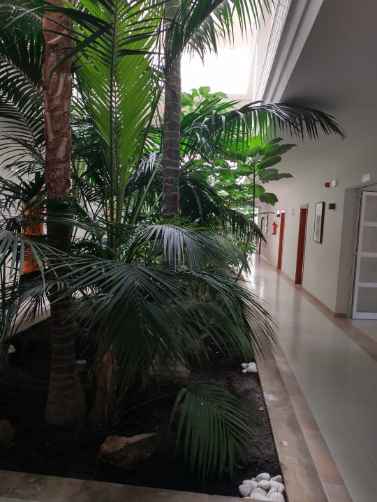 Sonstiges allsun Hotel Eden Playa