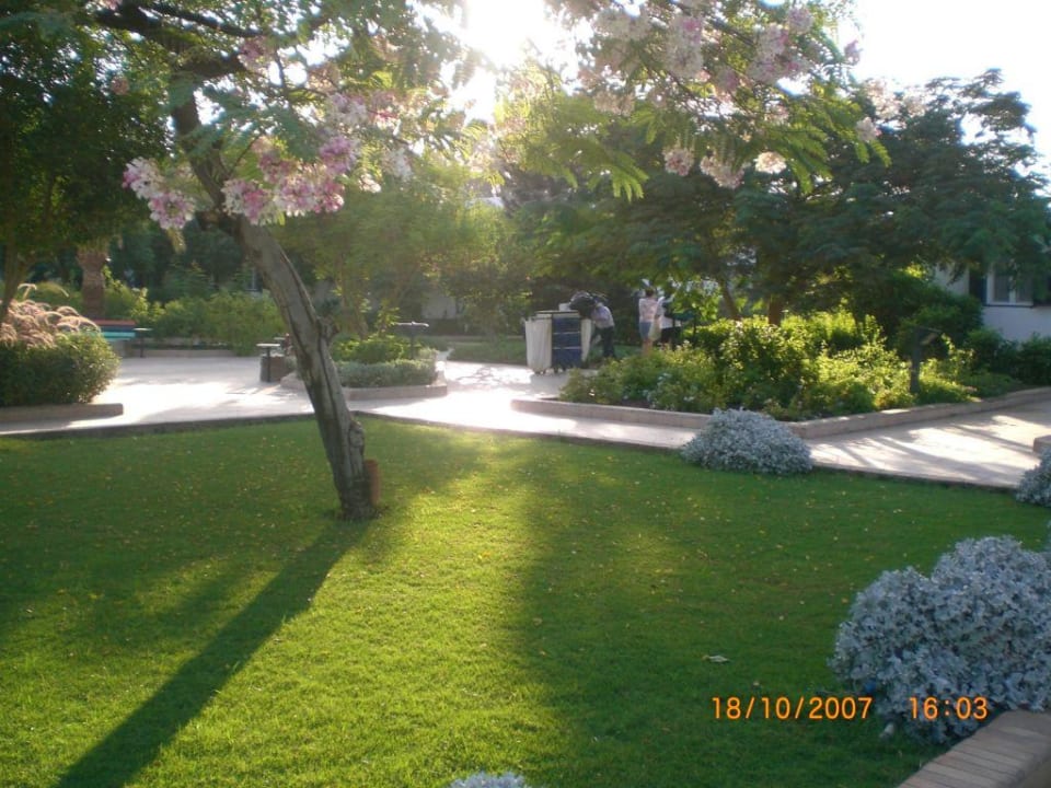 Gartenanlage Ghazala Beach