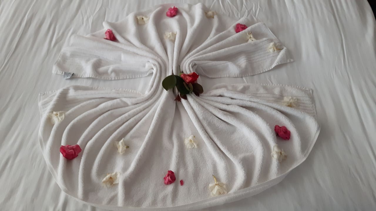 Zimmer Royal Taj Mahal Hotel