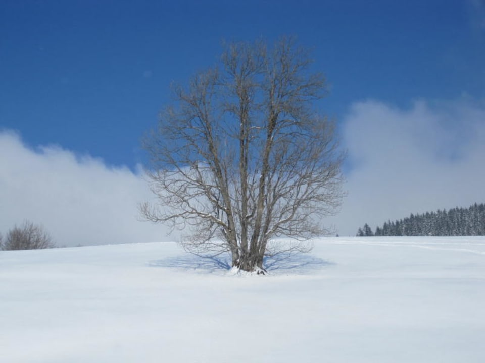 Ausblick Zimmer Nordseite Berghotel Tirol