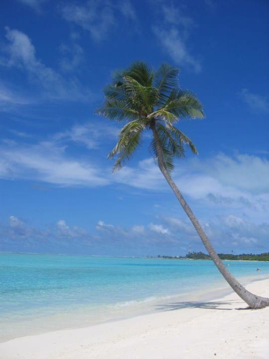 Strand auf der Ostseite Meeru Maldives Resort Island
