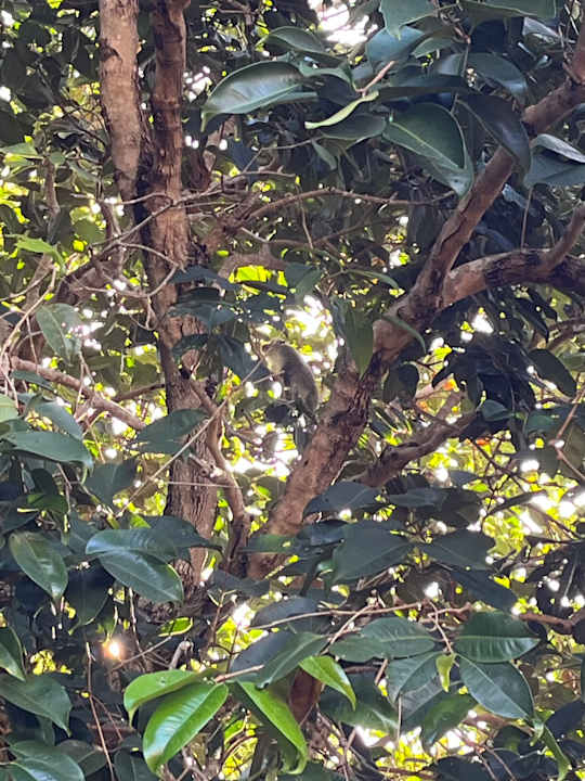 Gartenanlage Santhiya Koh Phangan Resort & Spa