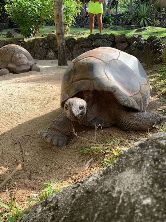 Gartenanlage Shangri-La Le Touessrok Mauritius