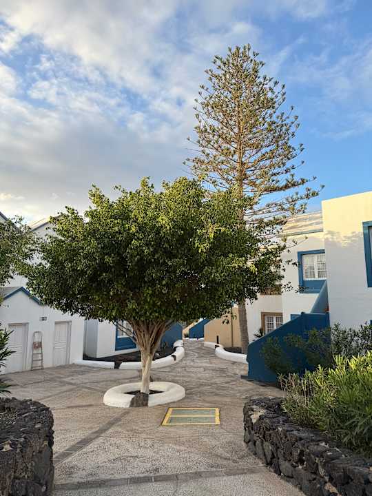 Gartenanlage Apartamentos LIVVO Morromar