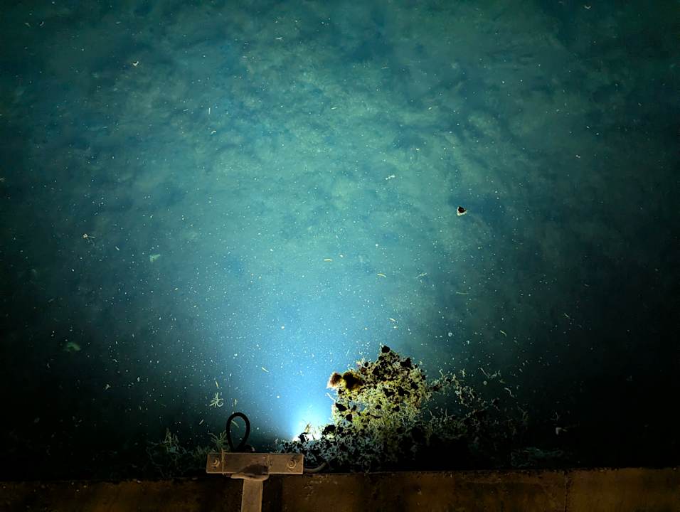 Außenansicht Pickalbatros Dana Beach Resort - Hurghada