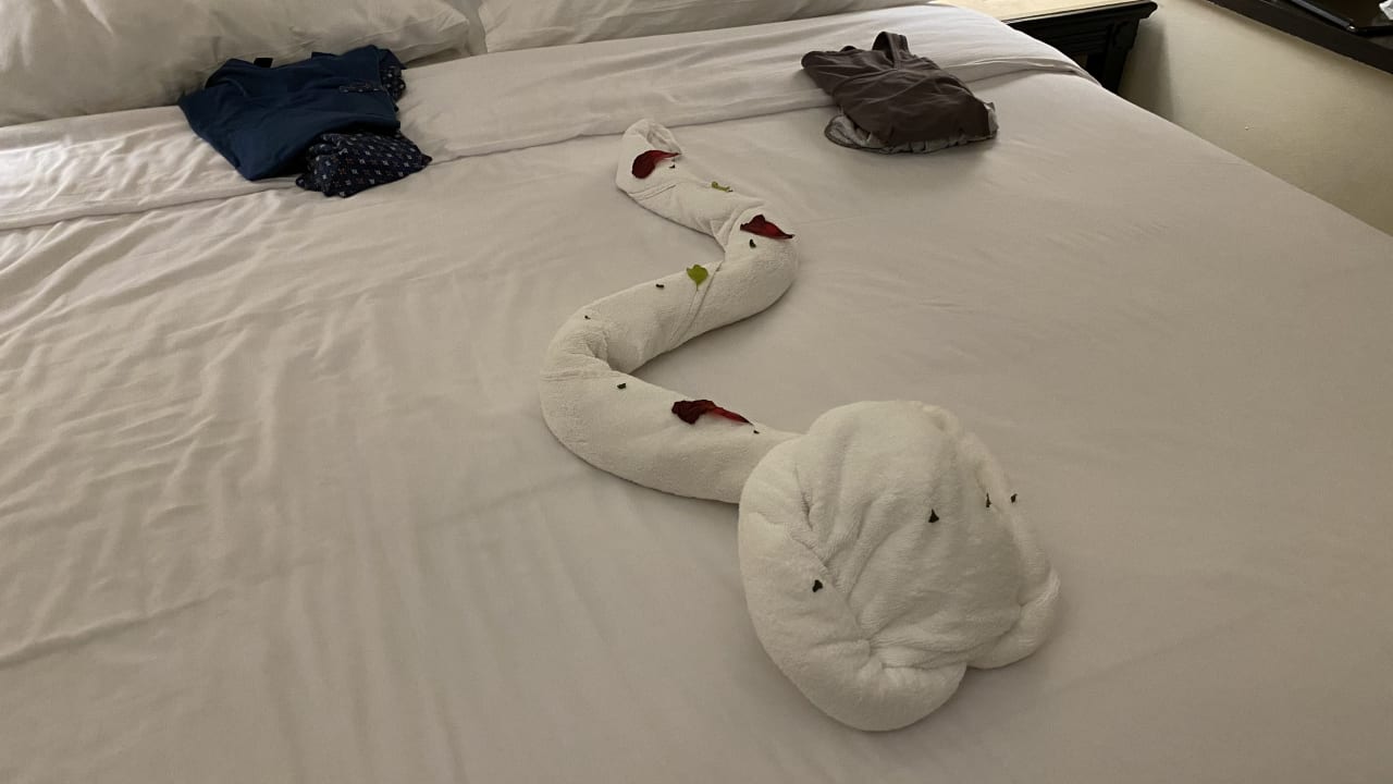 Zimmer Steigenberger Coraya Beach - Adults only