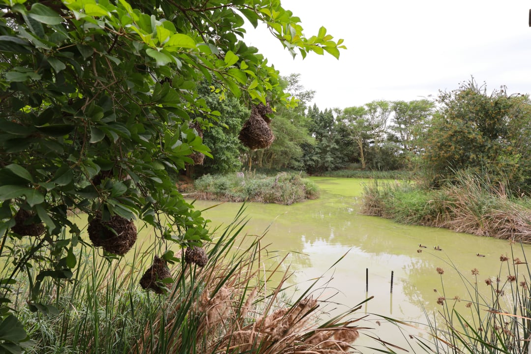 Gartenanlage Hotel Woodall Country House