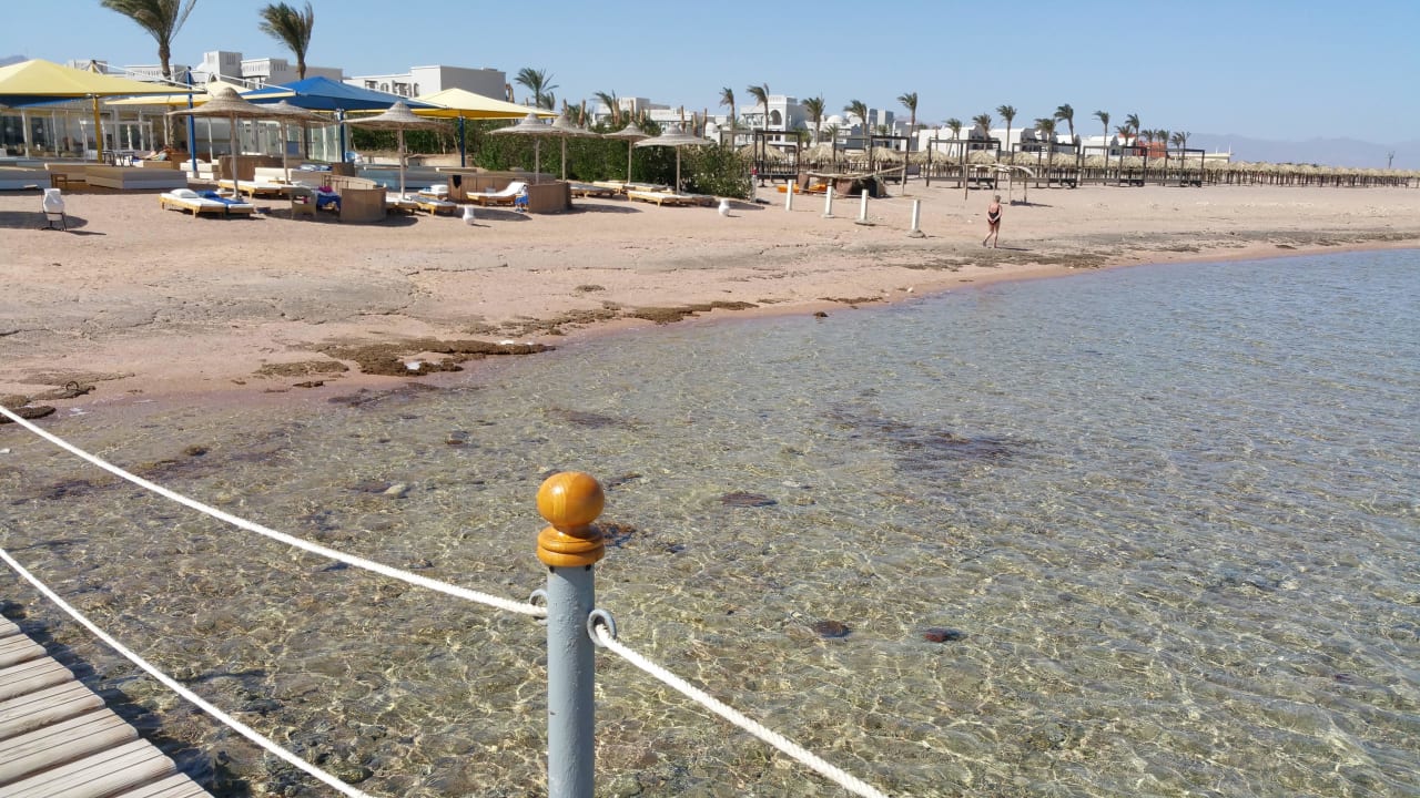 Aus dem Brücke Pickalbatros Royal Moderna Resort-Sharm El Sheikh