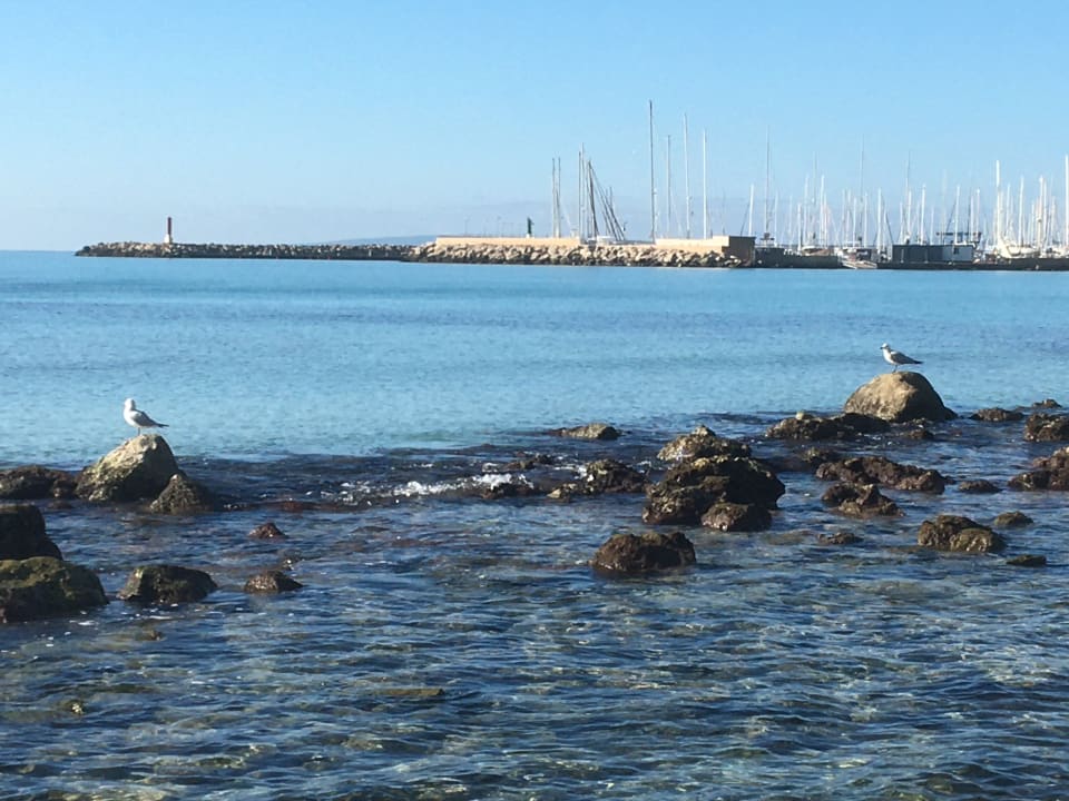 Strand Grupotel Acapulco Playa - Adults Only