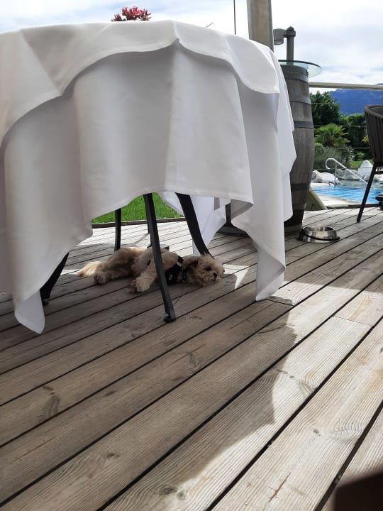 Gastro Weinegg Wellviva Resort
