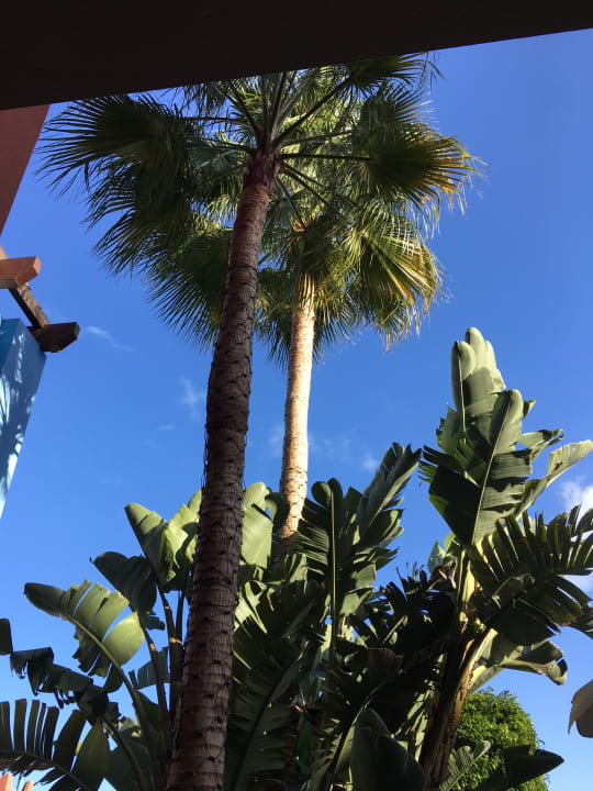 Ausblick H10 Tindaya