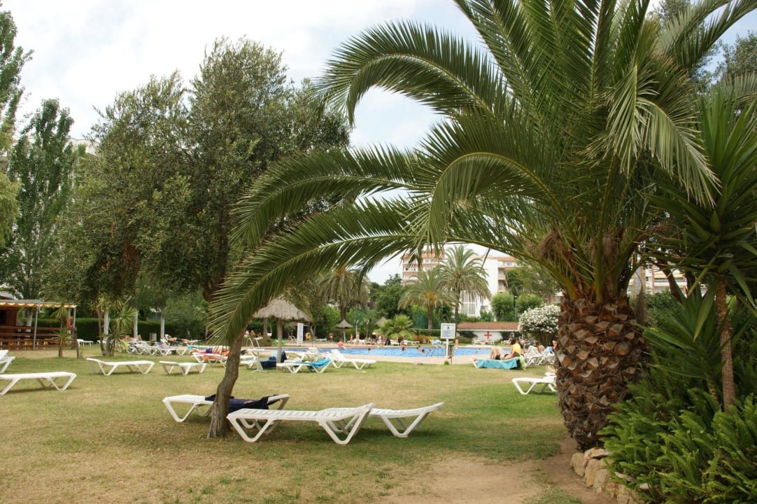 Leżaki przy basenie Hotel Surf Mar