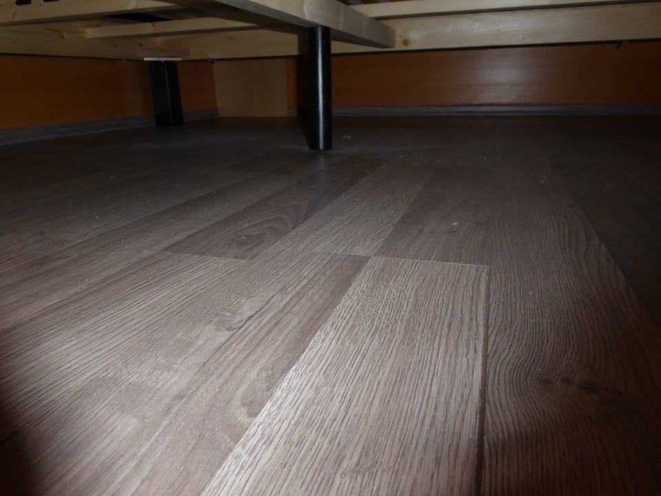 Zimmer Staubflocken Good Morning Erfurt