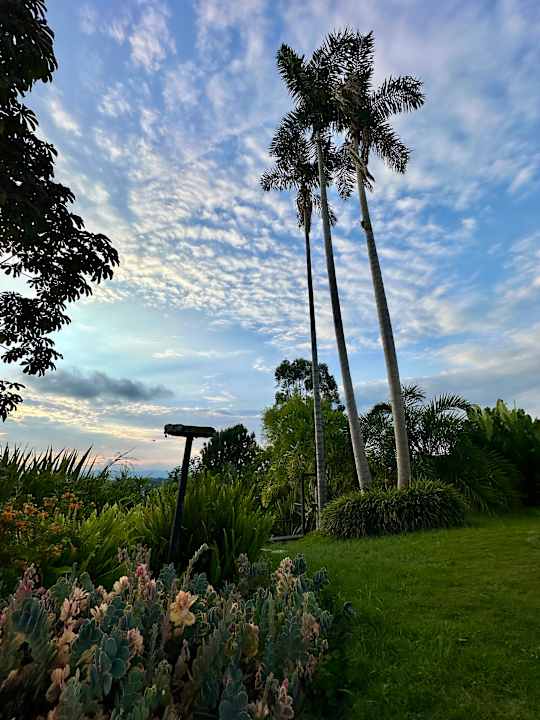 Gartenanlage Bio Habitat Hotel, AKEN SOUL Collection