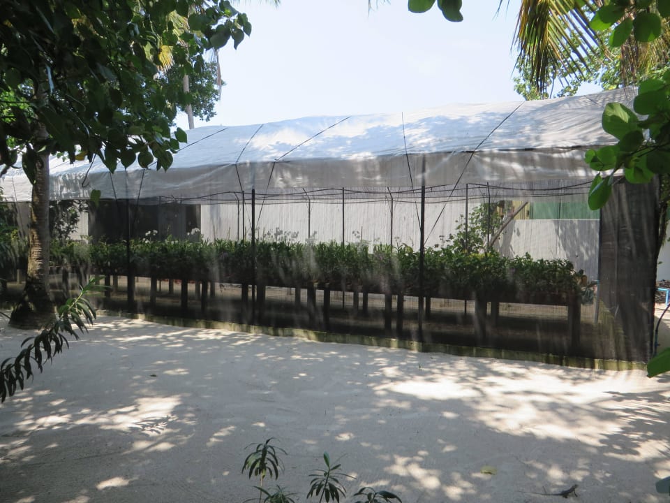 Orchideenzucht Komandoo Island Resort & Spa - Adults only