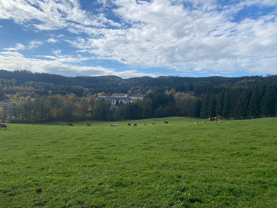 Ausblick Aldiana Club Ampflwang