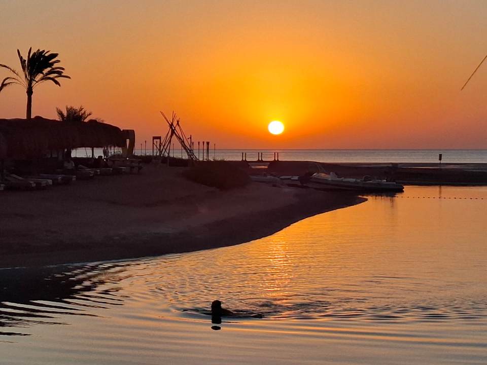 Sonstiges Club Paradisio El Gouna, Red Sea