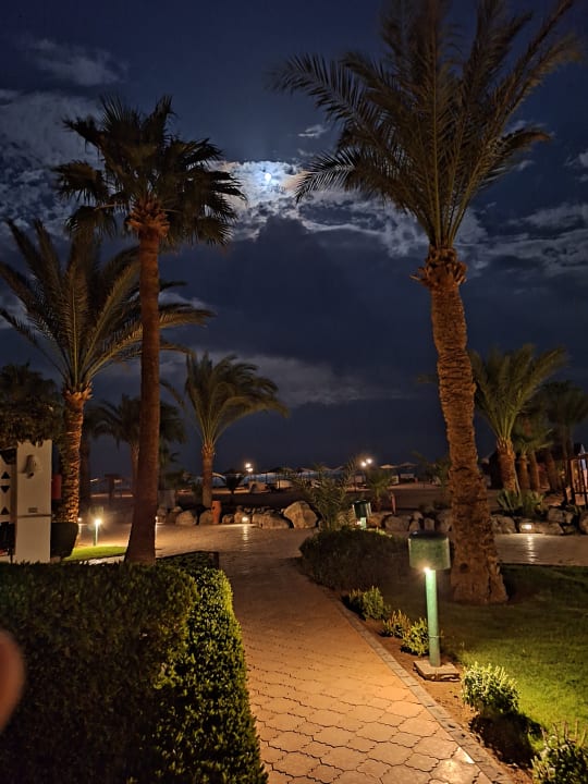 Gartenanlage Shams Safaga Resort
